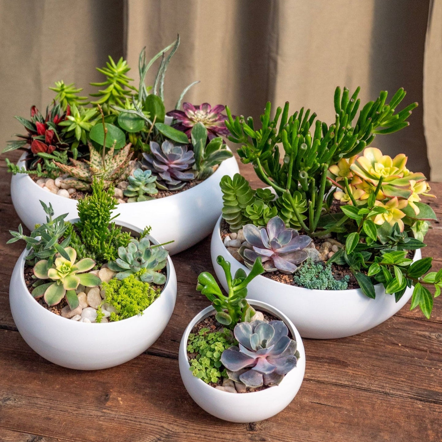 Great for Gifting