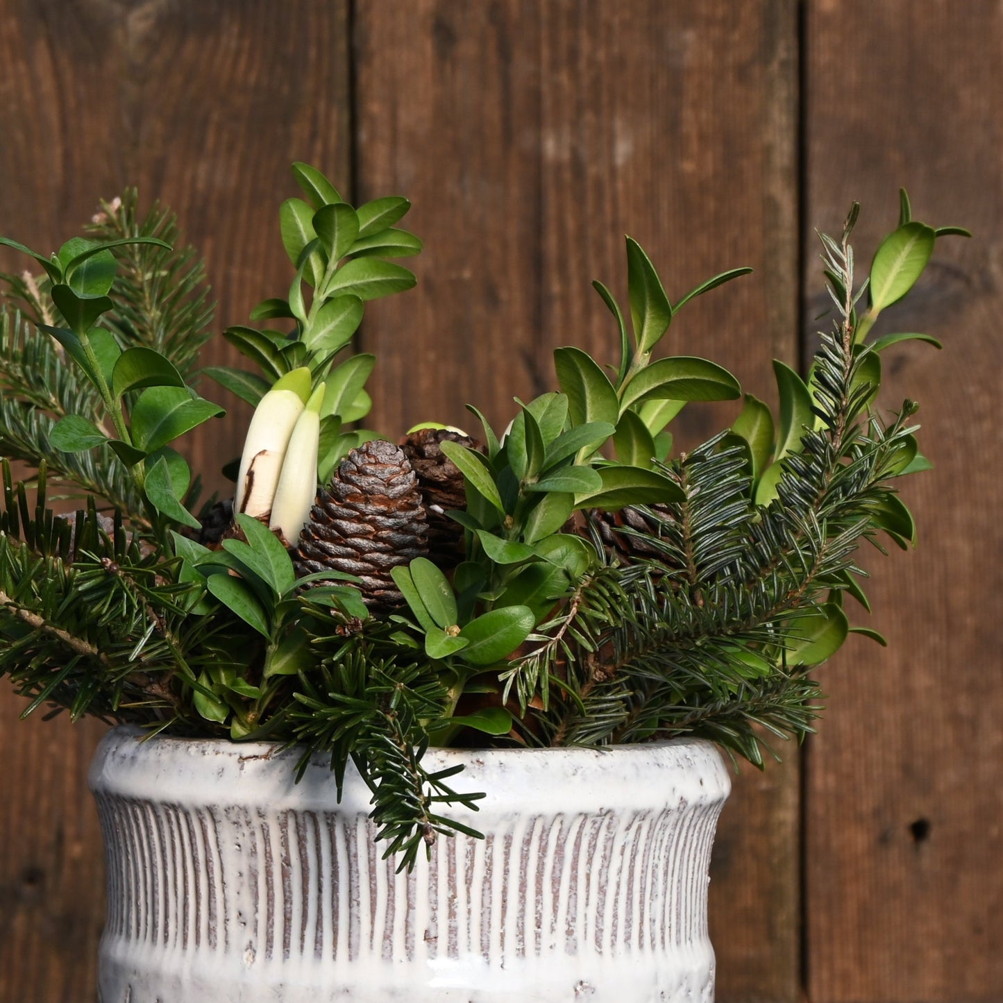 Nov 8th - Blooming Mossy Miniscape Workshop