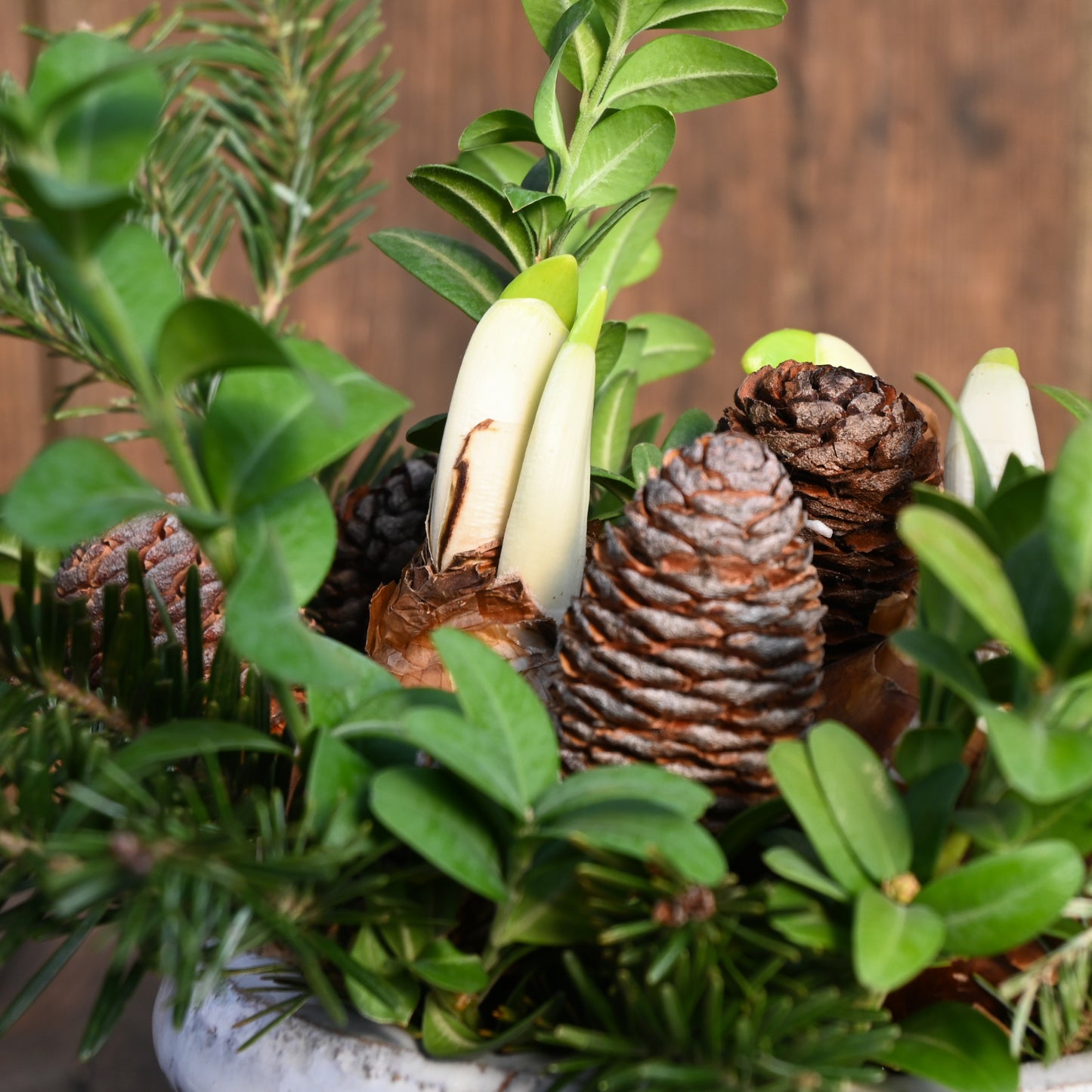 Nov 8th - Blooming Mossy Miniscape Workshop