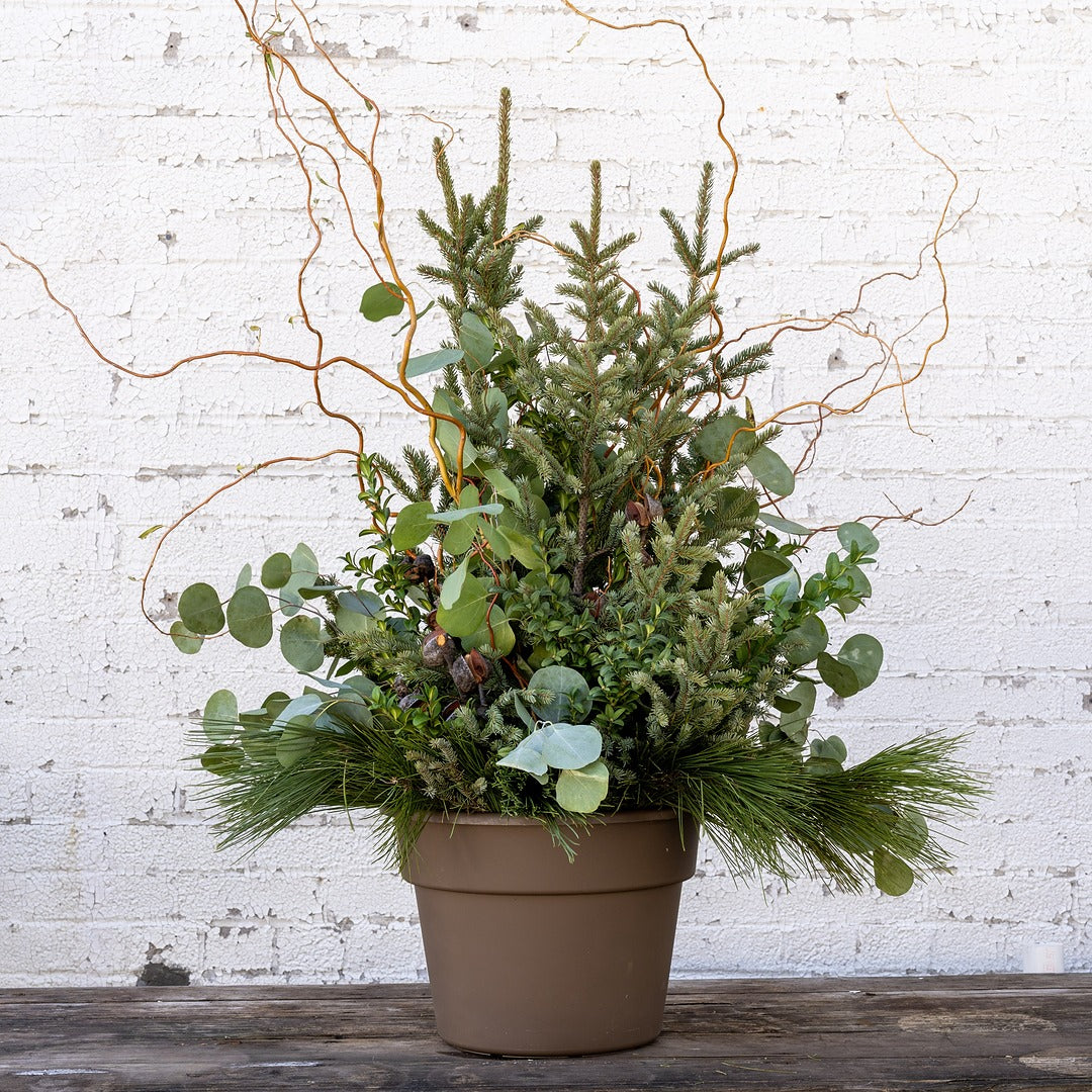 Winter Woodland Spruce Tip Container