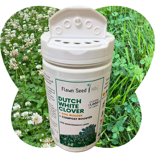 Dutch White Clover - Flawn Seed