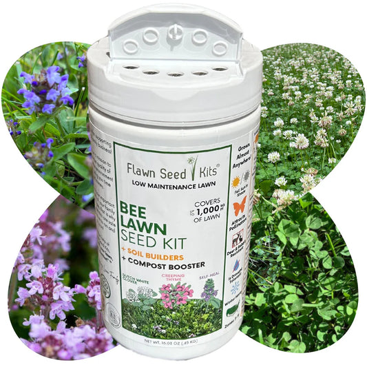 Flowering Bee Lawn - Flawn Seed