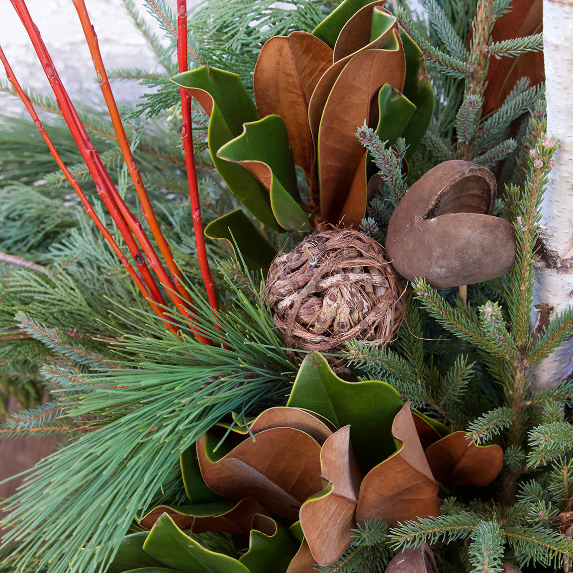 Nov 16th - Winter Container Design Workshop