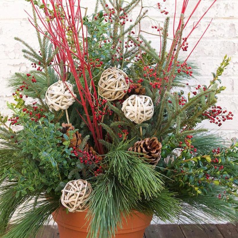 Nov 16th - Winter Container Design Workshop