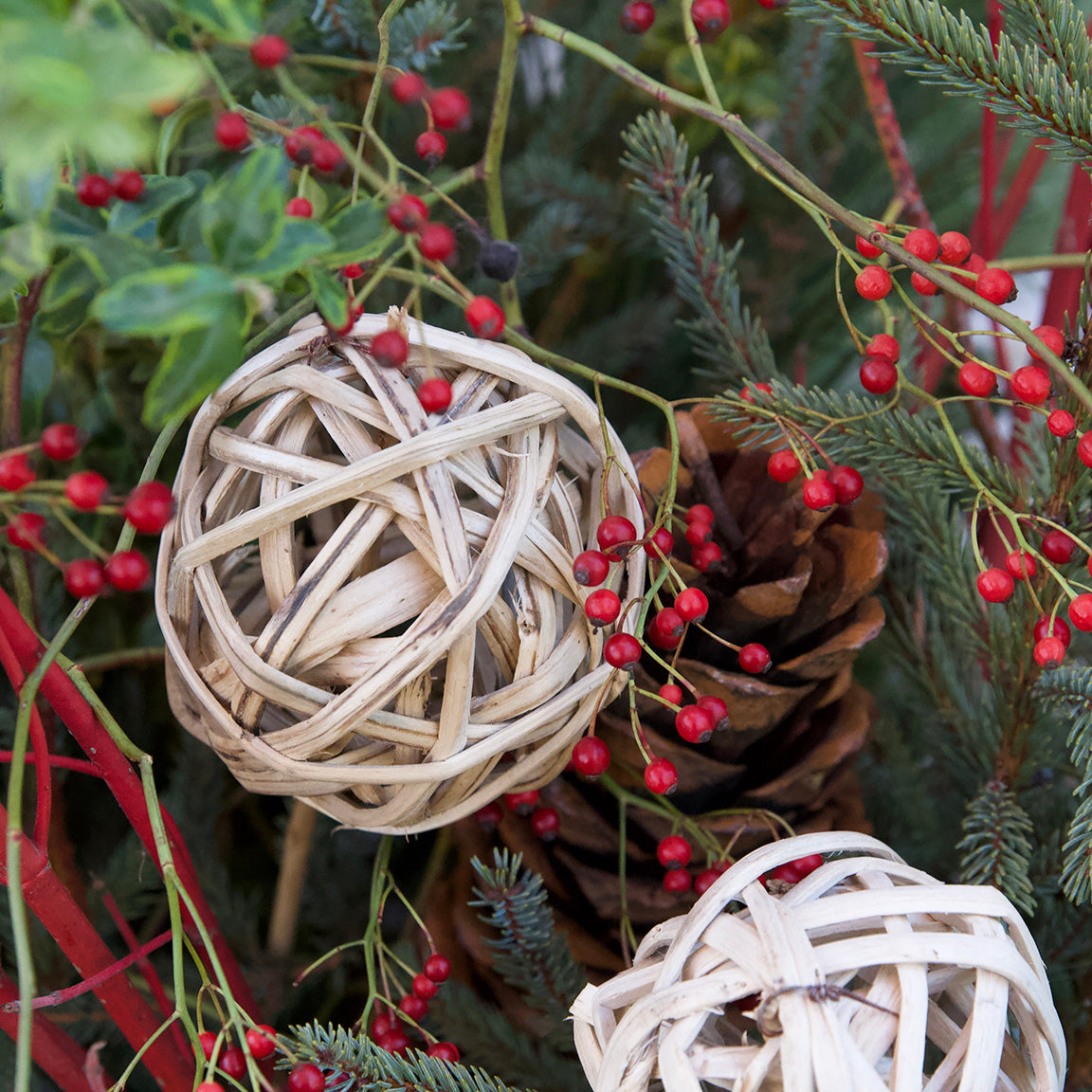 Nov 16th - Winter Container Design Workshop