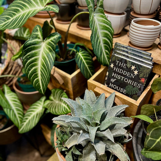 Digital Tangletown Gardens Gift Card