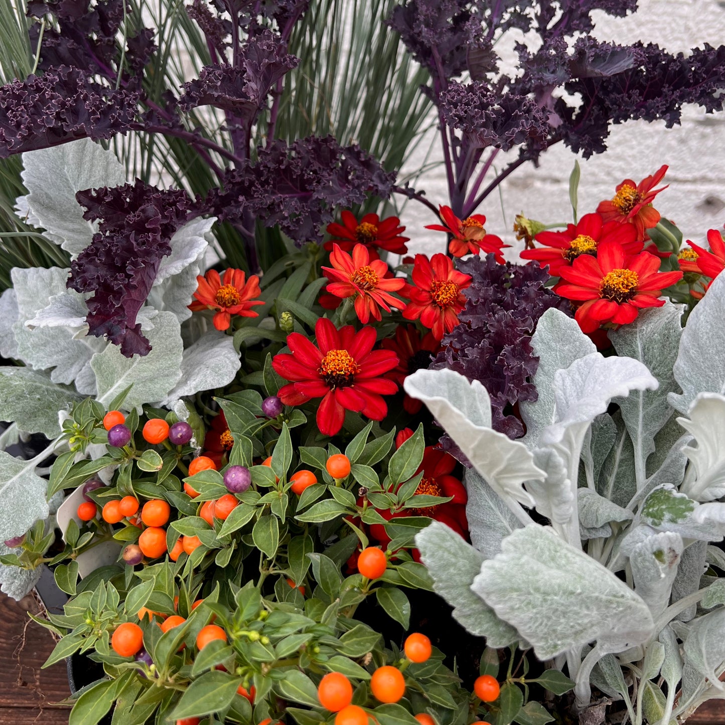 Fall Container Workshop - Sunday Sept 7th