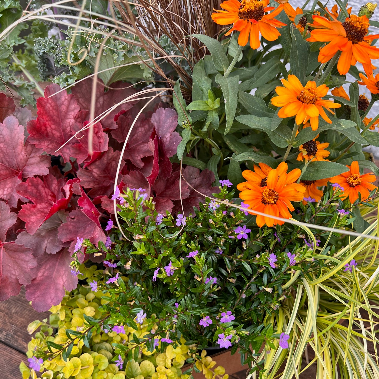 Autumn Abundance Seasonal Container