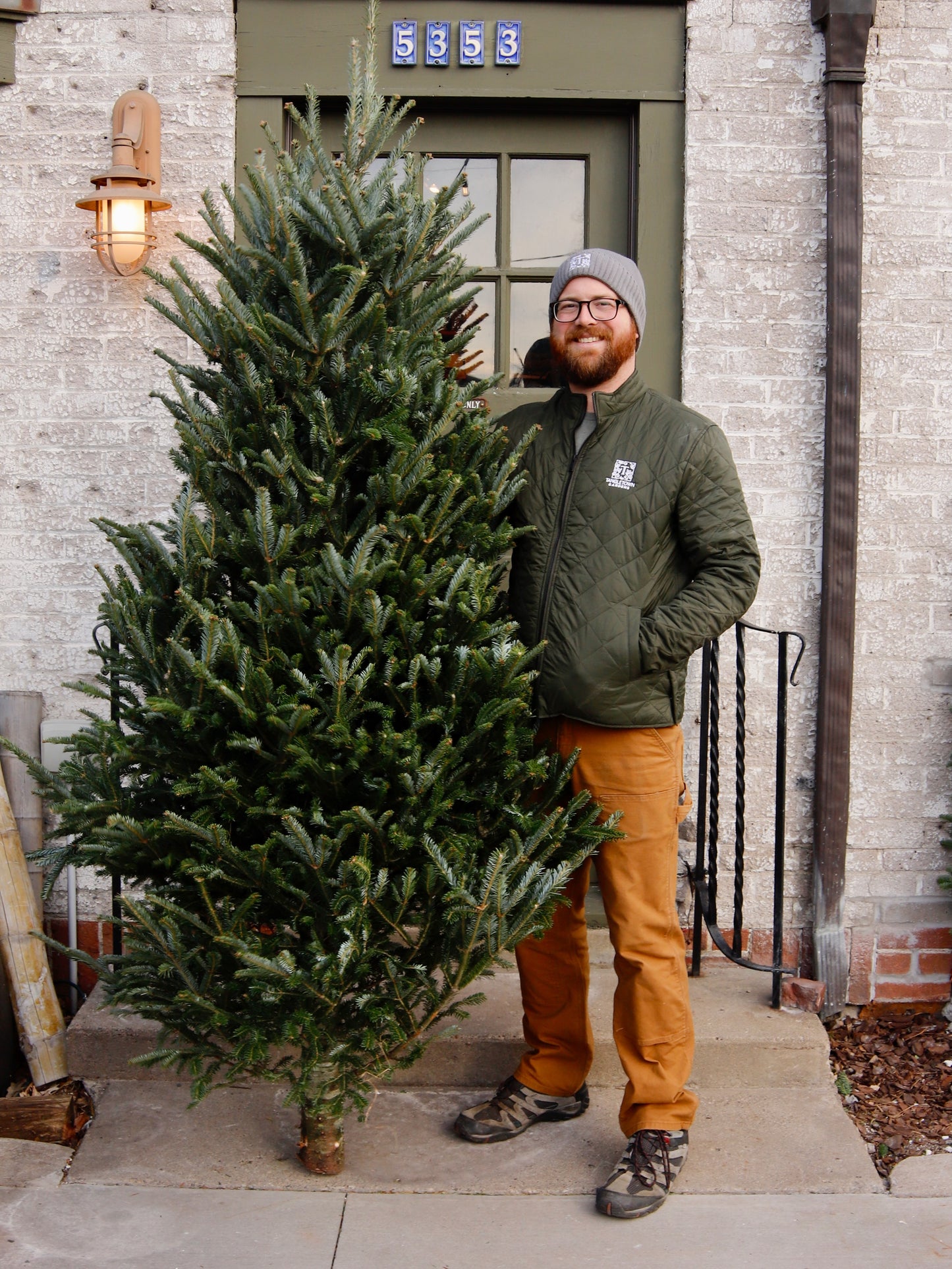 North Carolina Premium Fraser Fir