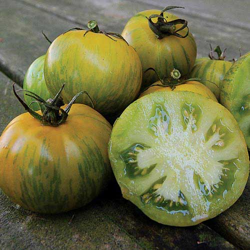 Seed Savers Exchange - Green Zebra Tomato