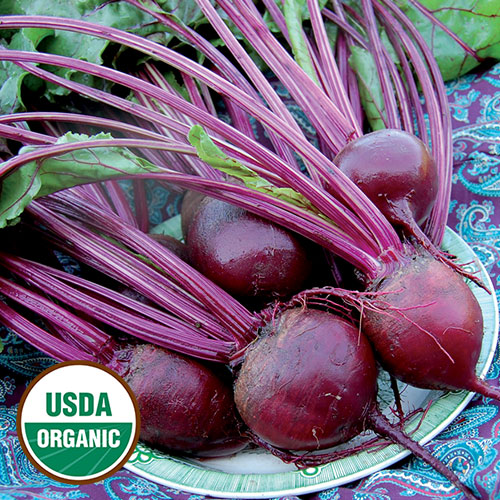 Seed Savers Exchange - Detroit Dark Red Beet