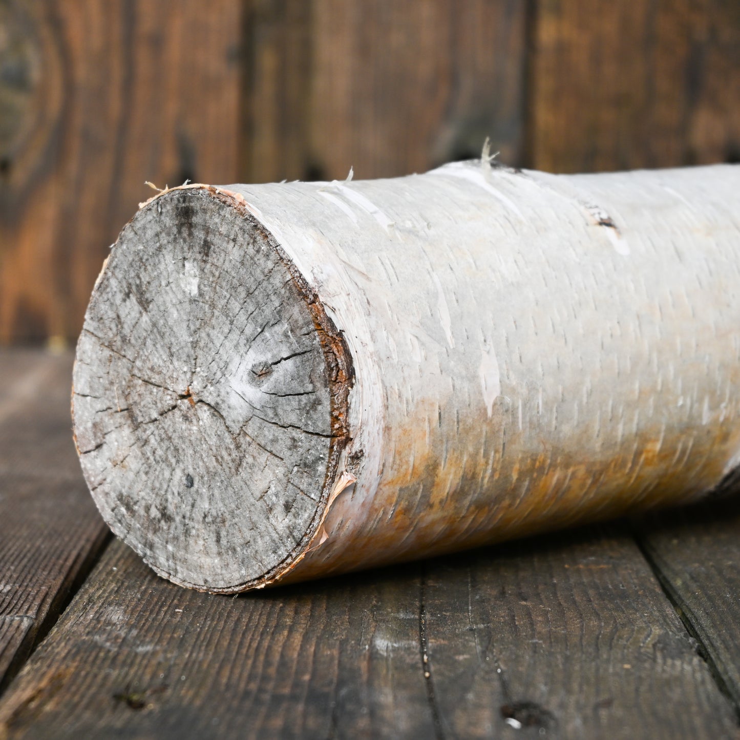 Birch Logs