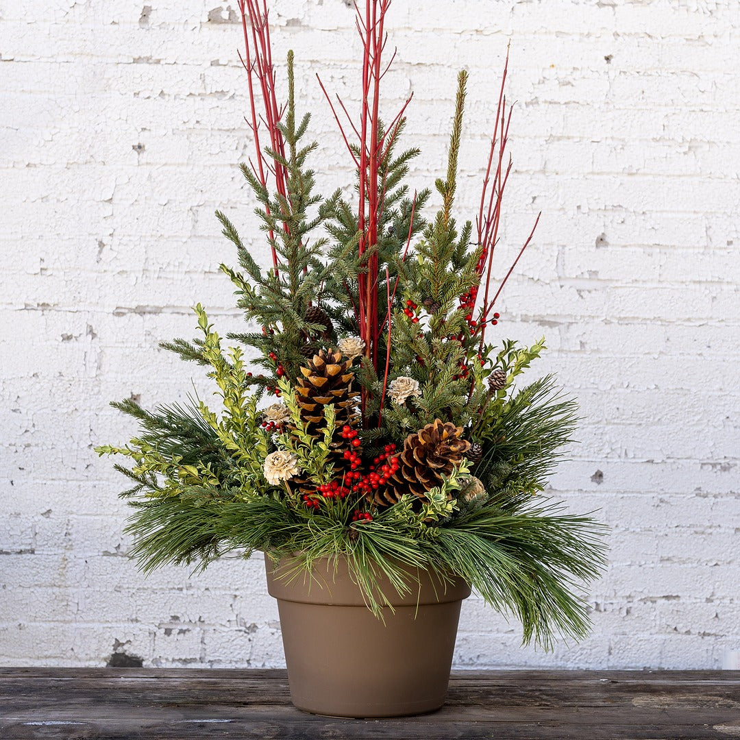 Nordic Noel Spruce Tip Container