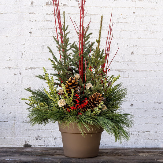 Nordic Noel Spruce Tip Container