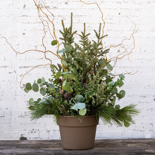 Winter Woodland Spruce Tip Container