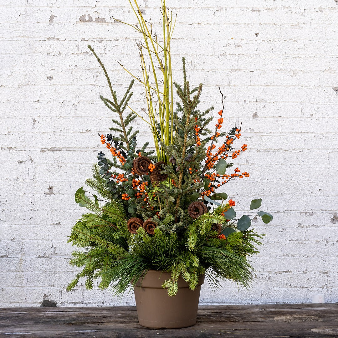 Christmas Candy Spruce Tip Container