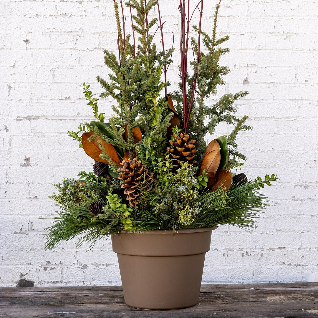 Gilded Glamour Spruce Tip Container