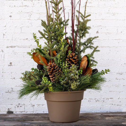Gilded Glamour Spruce Tip Container