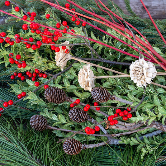 Nordic Noel DIY Container Kit