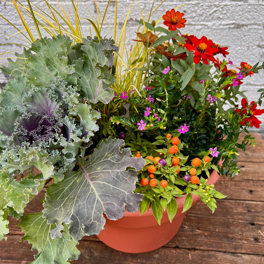 Autumn Abundance Seasonal Container