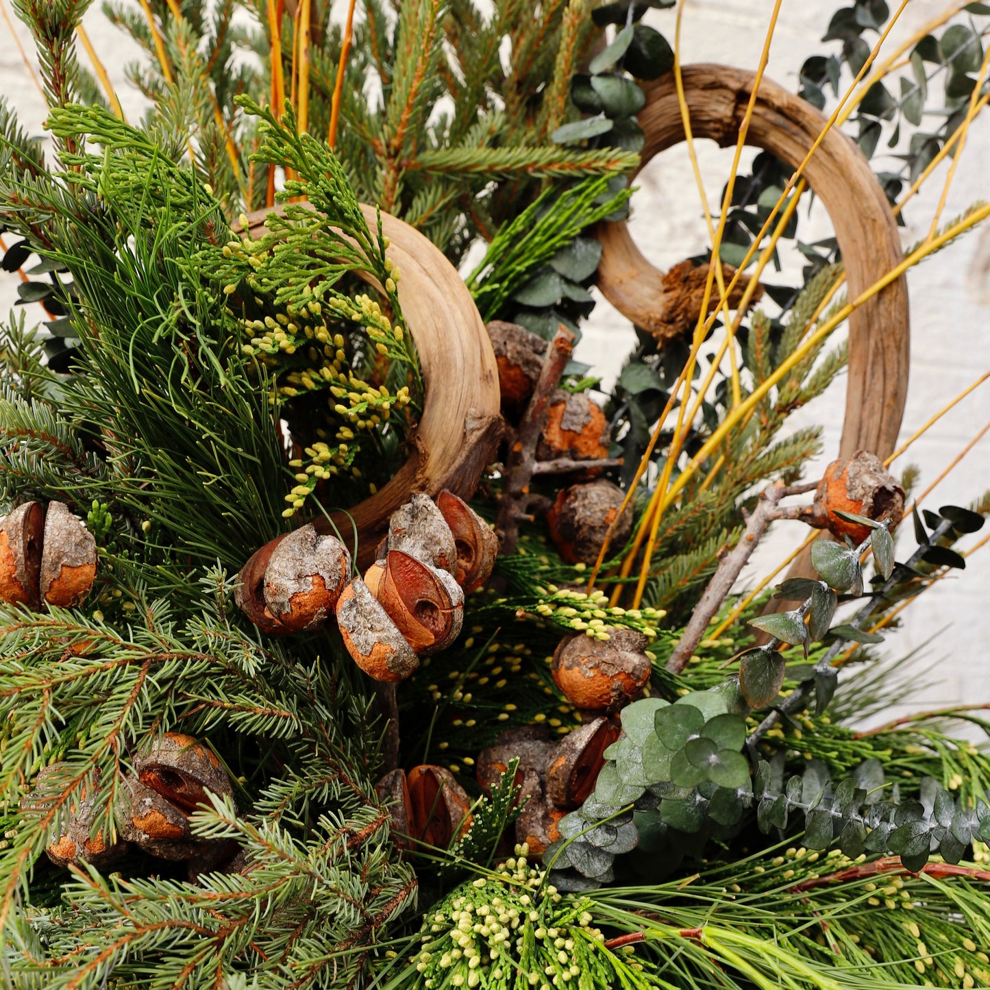 Vivid Winter Spruce Tip Container