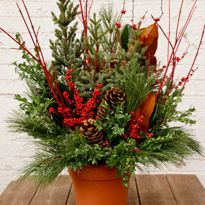 Classic Winter Spruce Tip Container