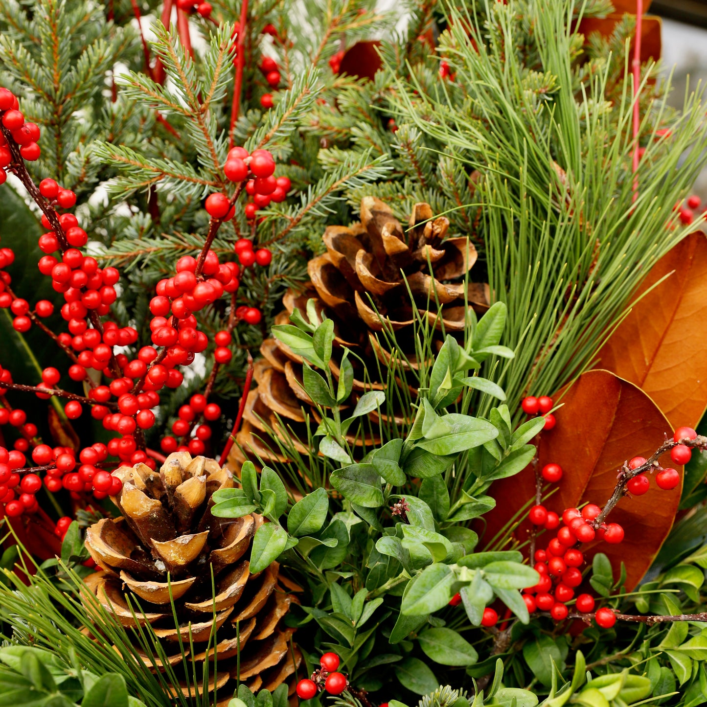 Classic Winter Spruce Tip Container