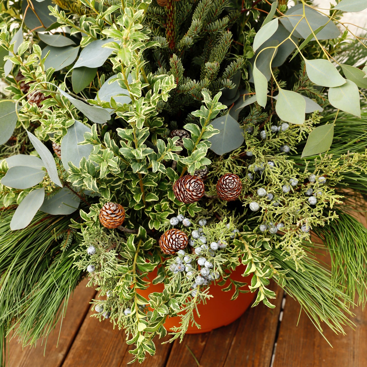 Woodland Winter Spruce Tip Container