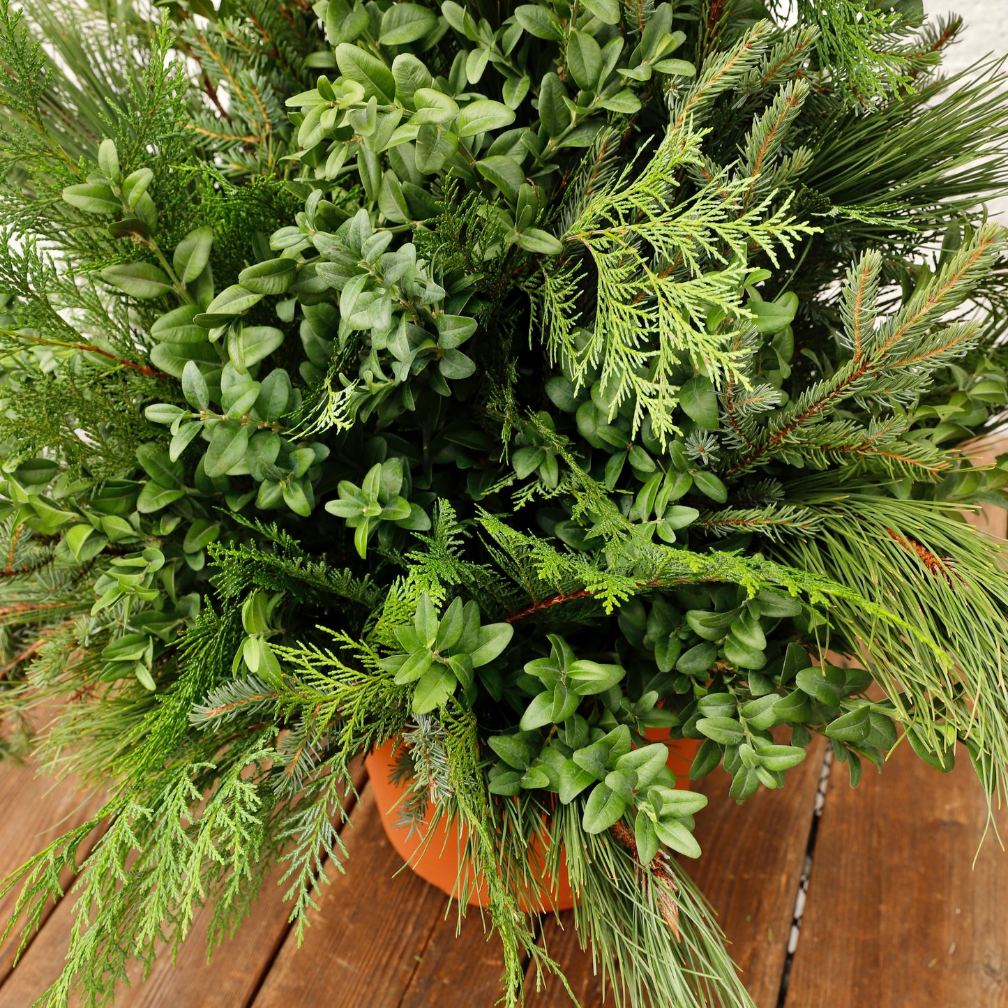 Refined Winter Spruce Tip Container