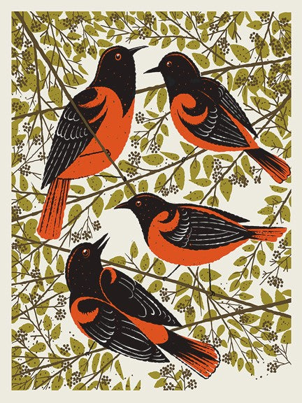 Oriole Birds Print