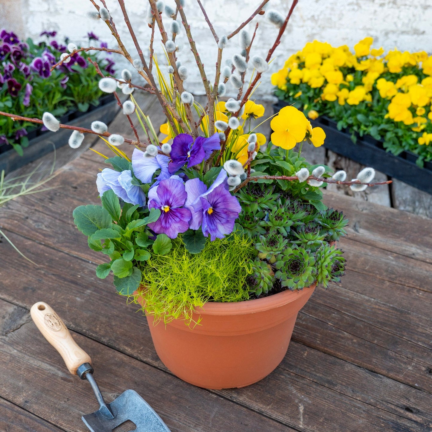 Spring Container Combinations Workshop