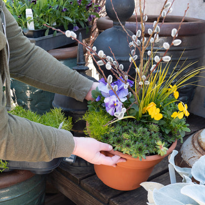 Spring Container Combinations Workshop