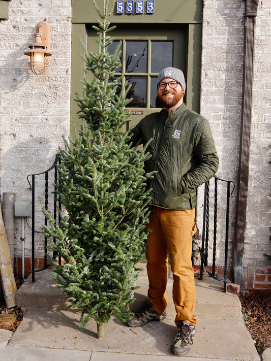 Wisconsin Natural Balsam Fir