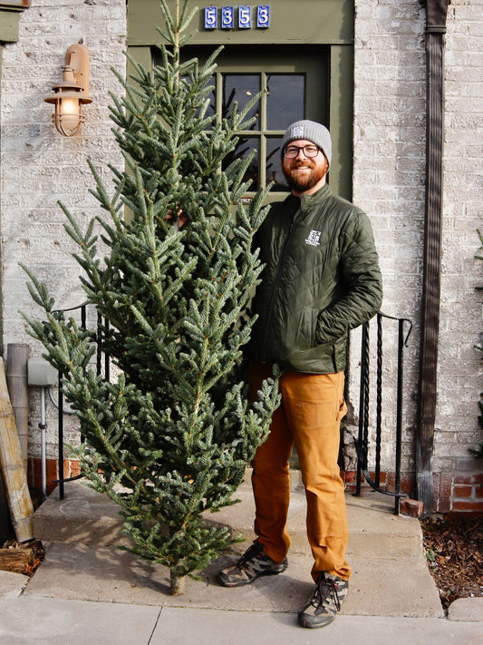 Wisconsin Natural Fraser Fir