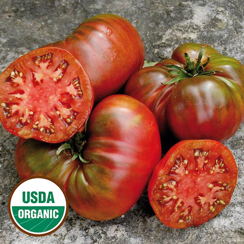 Seed Savers Exchange - Black Sea Man Tomato