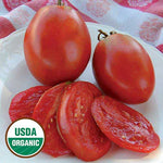 Seed Savers Exchange - Amish Paste Tomato