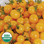 Seed Savers Exchange - Igleheart Yellow Cherry Tomato