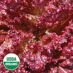 Seed Savers Exchange - Lolla Rossa Lettuce