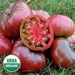 Seed Savers Exchange - Cherokee Purple Tomato