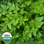 Seed Savers Exchange - Giant from Italy Parsley