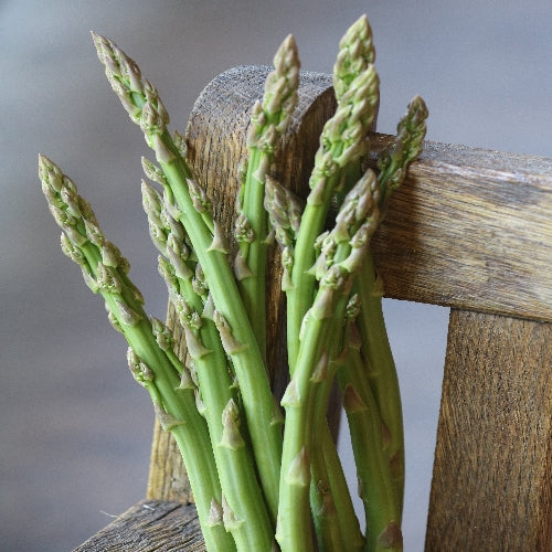 Seed Savers Exchange - 3lb Coffee Can Asparagus