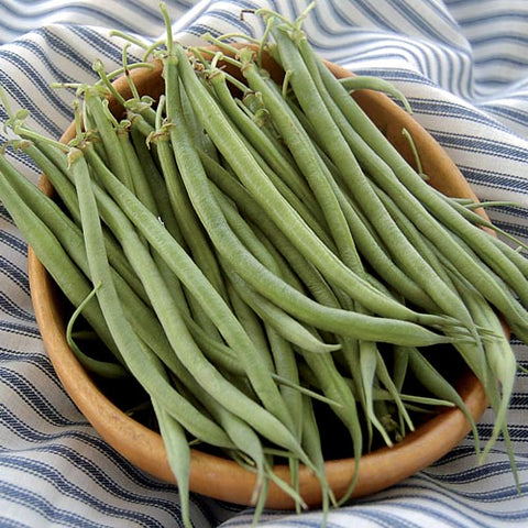 Seed Savers Exchange - Fin de Bagnol Bean
