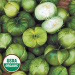 Seed Savers Exchange - Green Husk Tomatillo