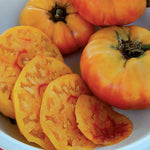 Seed Savers Exchange - Gold Medal Tomato
