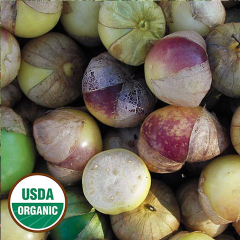 Seed Savers Exchange - Dr. Wyche's Yellow Tomatillo