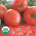 Seed Savers Exchange - Brandywine Tomato
