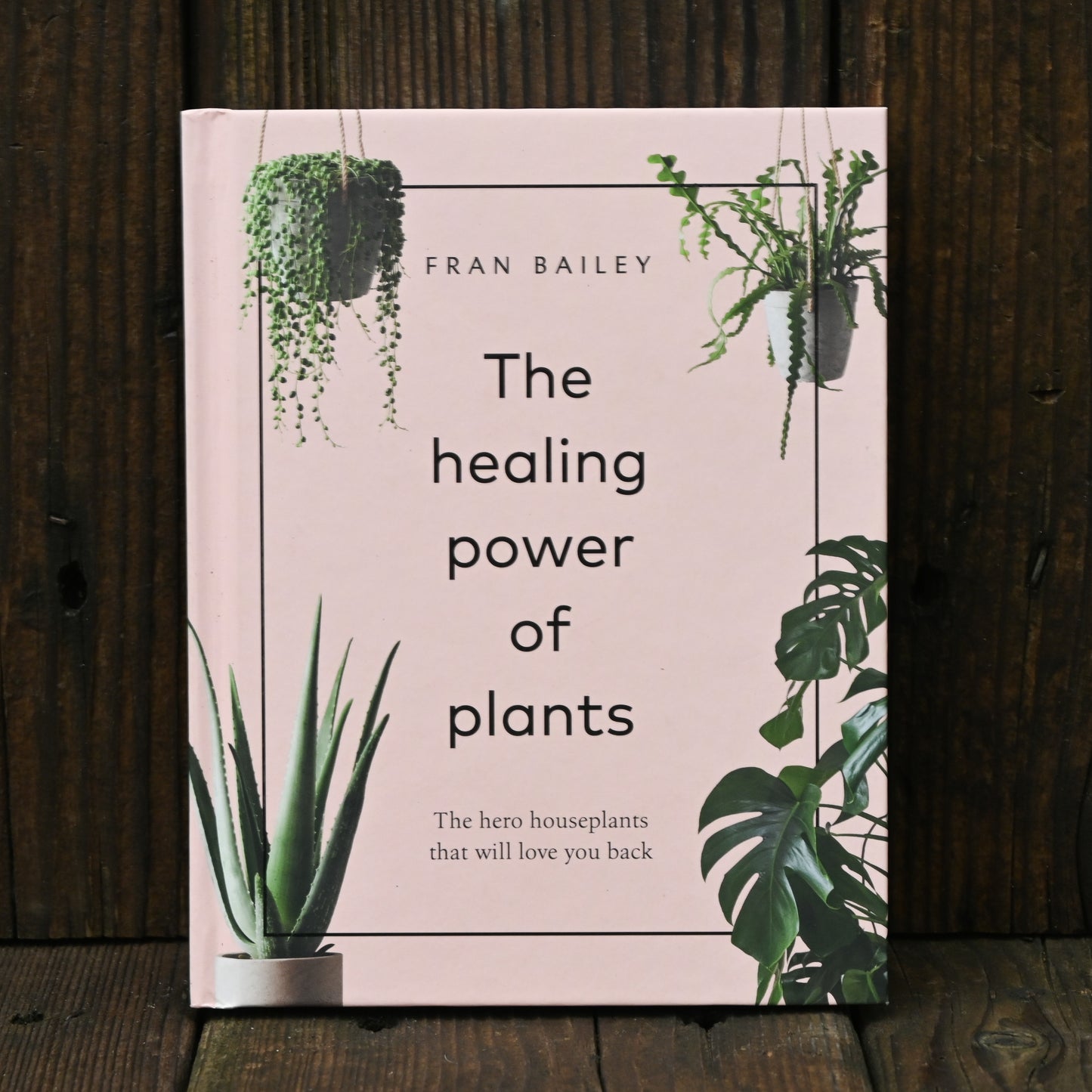 The Healing Power of Plants - by Fran Bailey