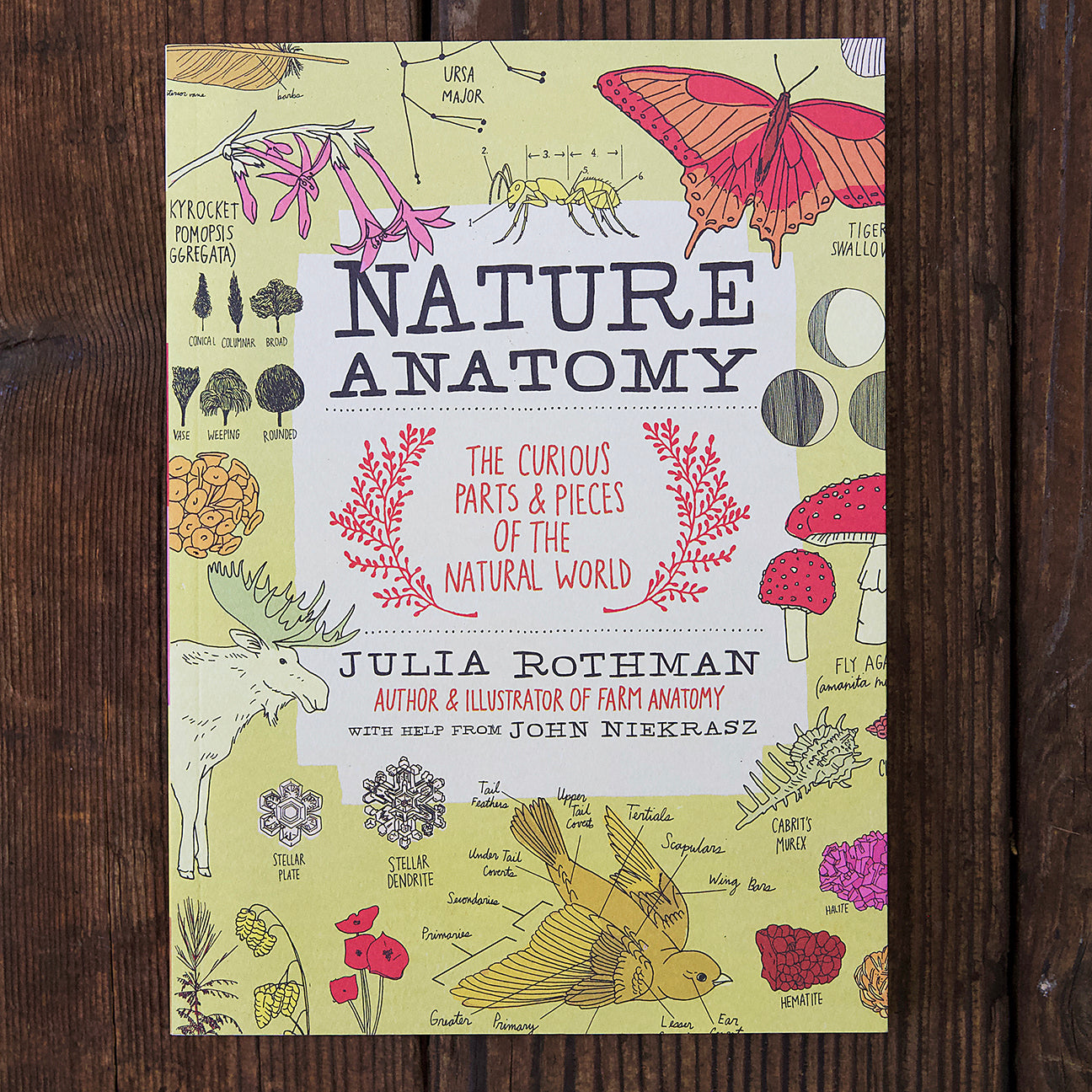 Nature Anatomy - by Julia Rothman